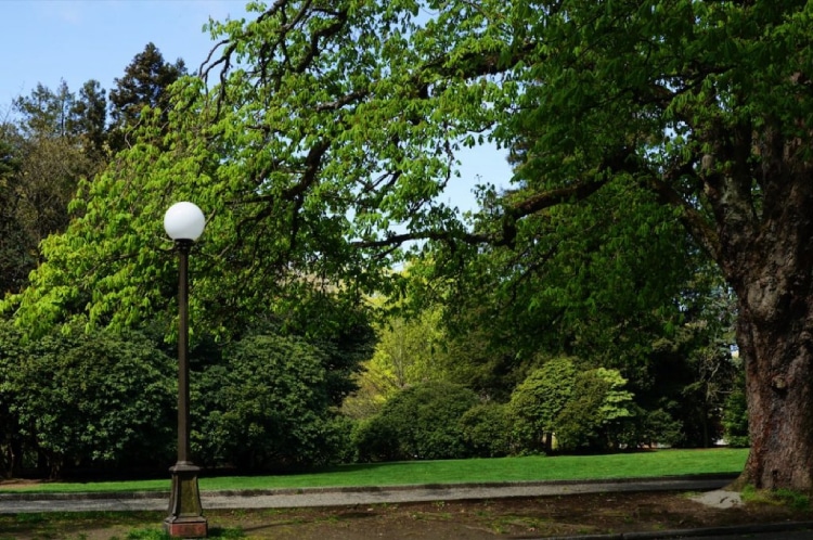 خرید چراغ پارکی